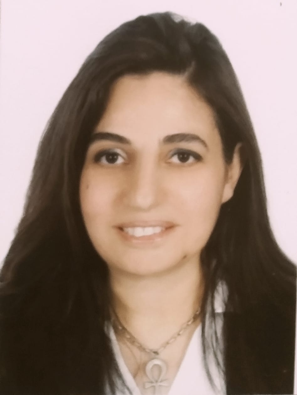 Eng. Hanan El Guenedy